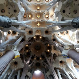Sagrada Familia, Barcelona, Španija, strop Gaudijeve umetnine. / Ana Godec