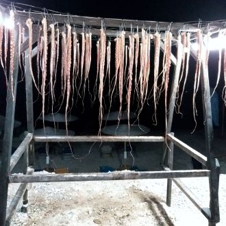 Thasos, Grčija, Limenaria (marikultura). Grki obesijo sveže ulovljeno hobotnico na sonce, da se posuši, ker se le tako pravilno speče, je prave strukture in odličnega okusa (2019) / Andreja Pocajt