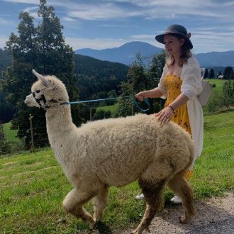 Ravne na Koroškem. Piknik z alpakami. (2020) / Tjaša Kopušar
