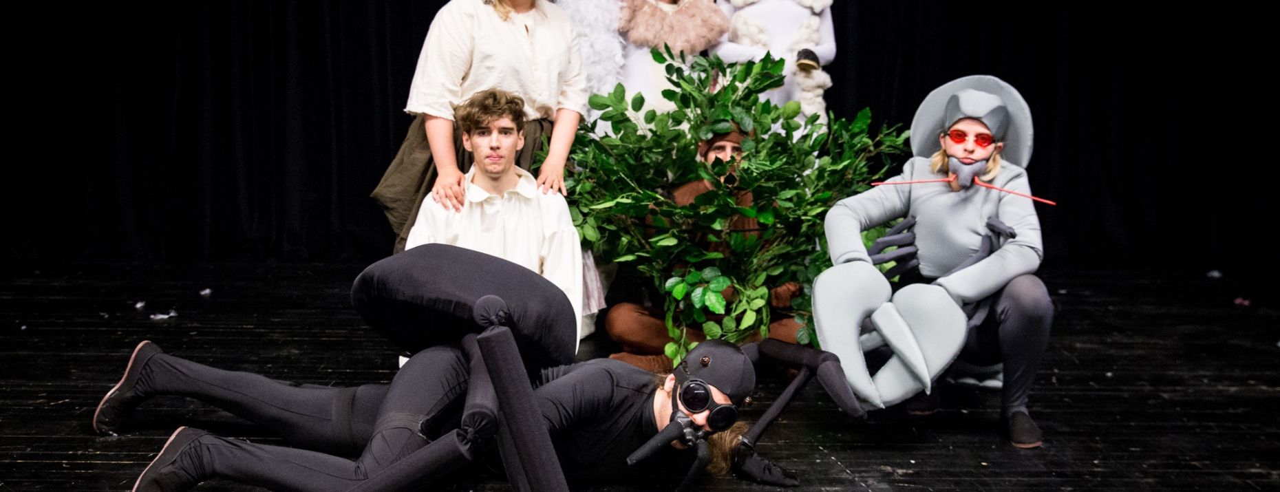 banner image