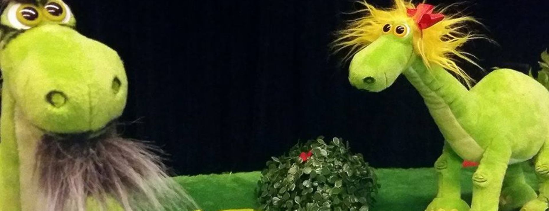 banner image