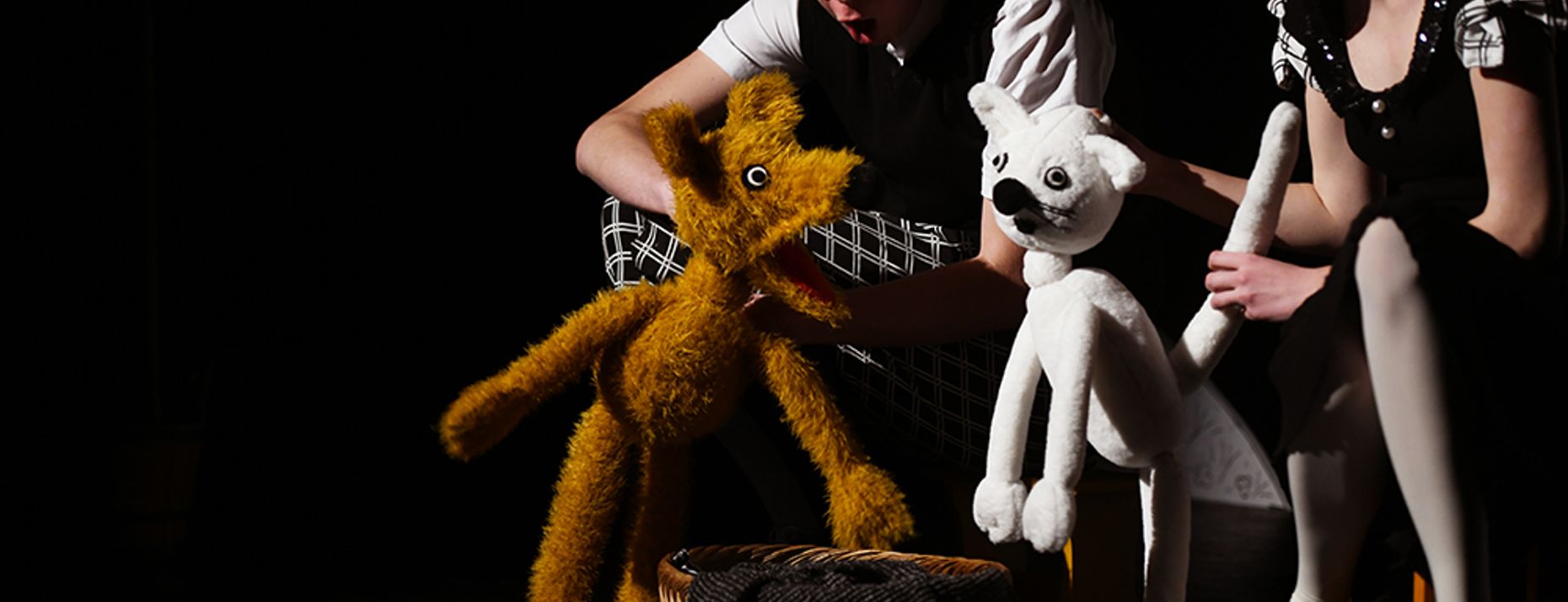 banner image