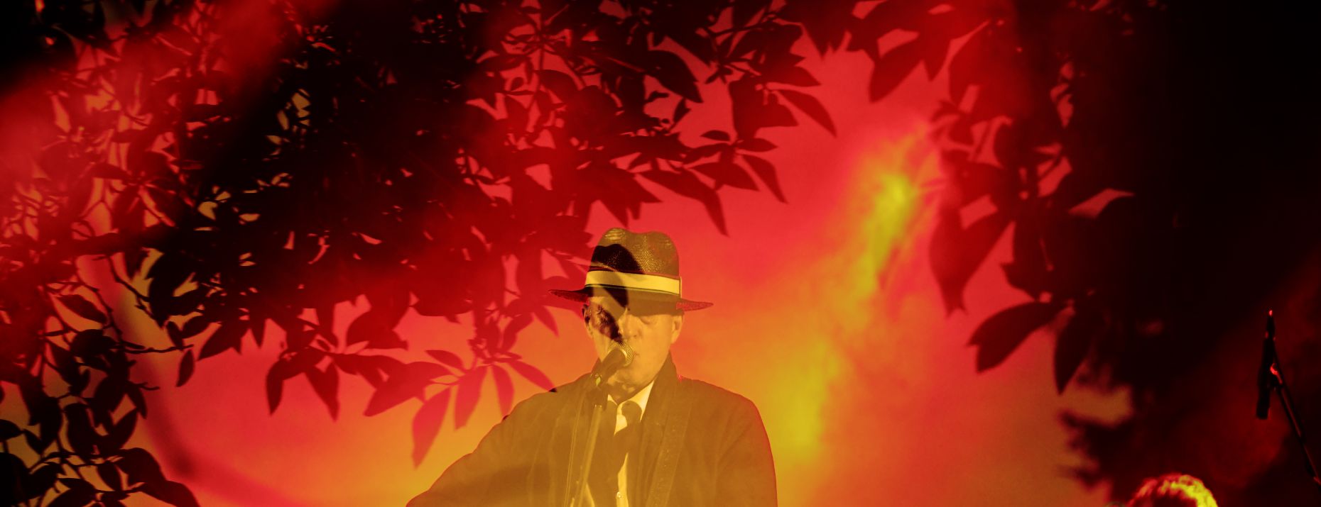 banner image